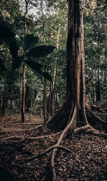 vetements-naturels