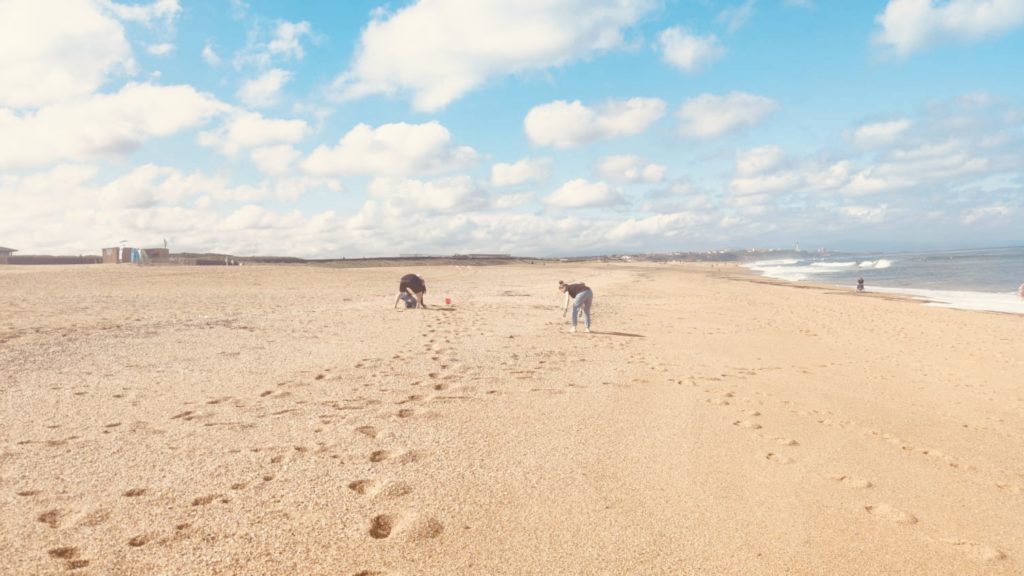 Modames - Actualité - Collecte de déchets sur la plage. Retour sur cette journée avec Initiatives Océanes