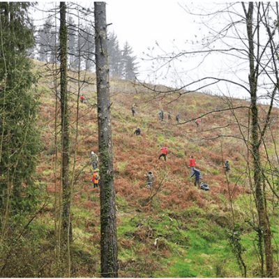 Fondation BERRIZAN qui lutte pour la préservation des forêts endémiques