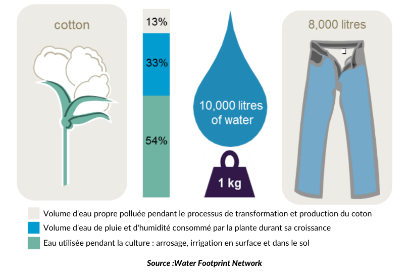 coton consommation eau pollution