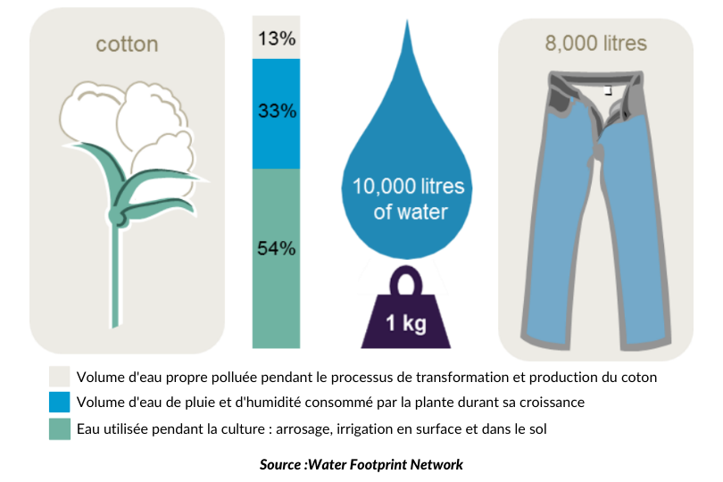 LE COTON, le textile le plus utilisé au monde