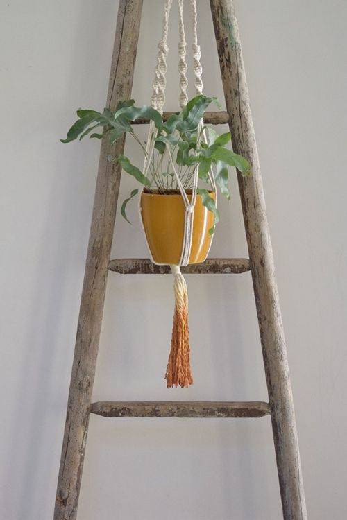 diy plante suspendue deco maison